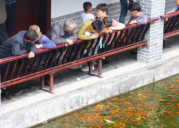 湖南华亿生态农业发展有限责任公司,株洲农家乐,湖南户外拓展,株洲哪里好玩,自助烧烤,露营,会议团体接待