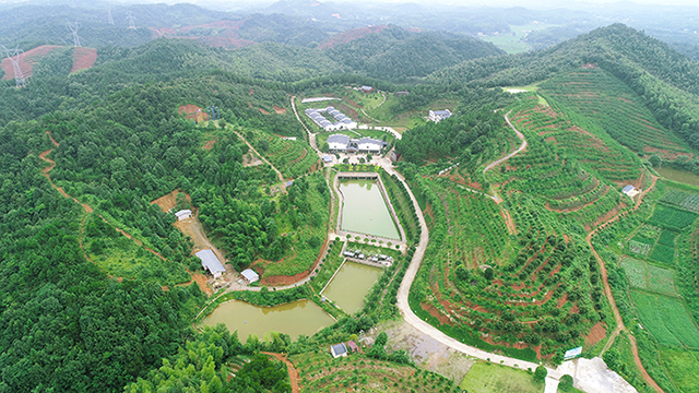 湖南华亿生态农业发展有限责任公司,株洲农家乐,湖南户外拓展,株洲哪里好玩,自助烧烤,露营,会议团体接待 湖南华亿生态农业发展有限责任公司,株洲农家乐,湖南户外拓展,株洲哪里好玩,自助烧烤,露营,会议团体接待