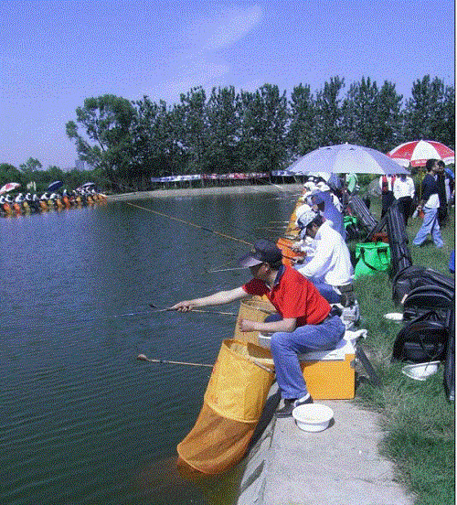 户外拓展,自助烧烤,露营,会议团体接待,团建, 户外拓展,自助烧烤,露营,会议团体接待,团建,