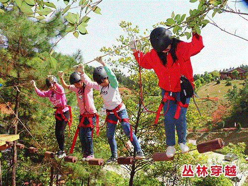户外拓展,自助烧烤,露营,会议团体接待,团建, 户外拓展,自助烧烤,露营,会议团体接待,团建,