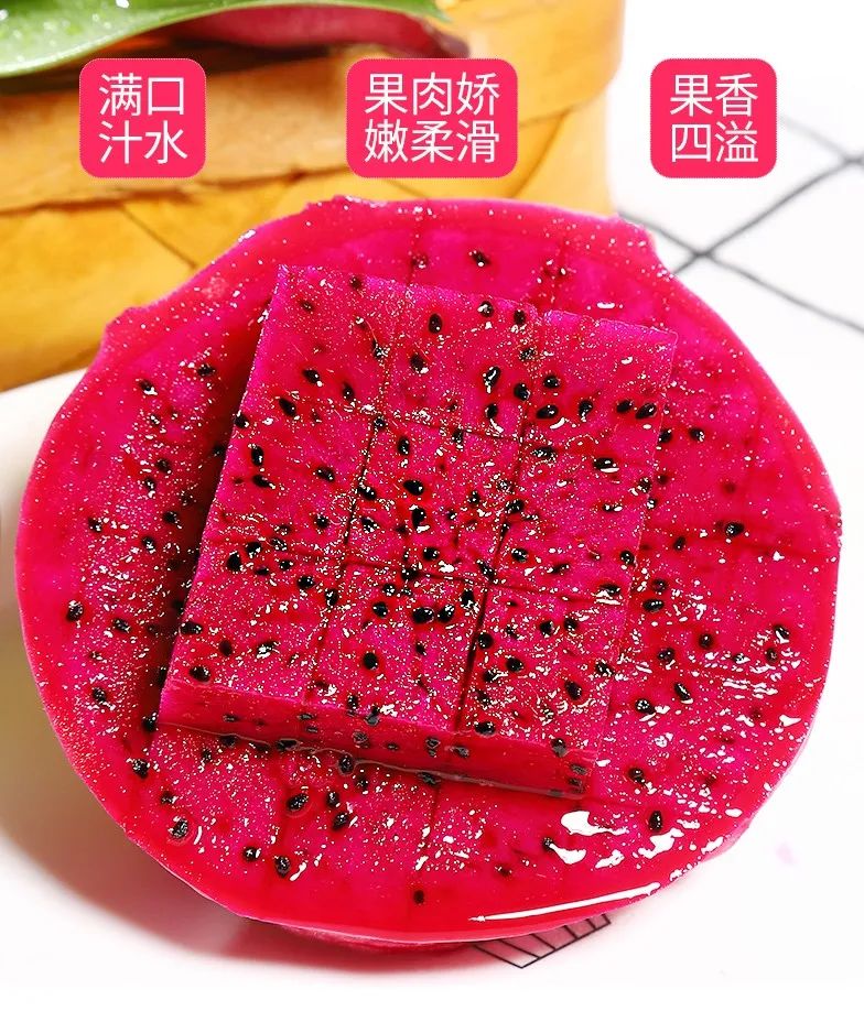 户外拓展,自助烧烤,露营,会议团体接待,团建, 户外拓展,自助烧烤,露营,会议团体接待,团建,