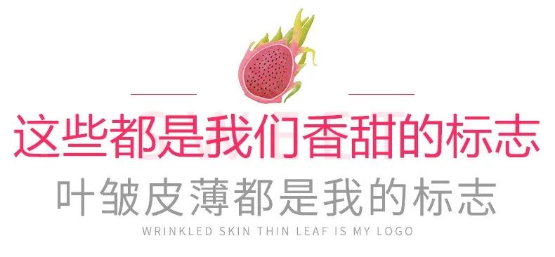 户外拓展,自助烧烤,露营,会议团体接待,团建, 户外拓展,自助烧烤,露营,会议团体接待,团建,