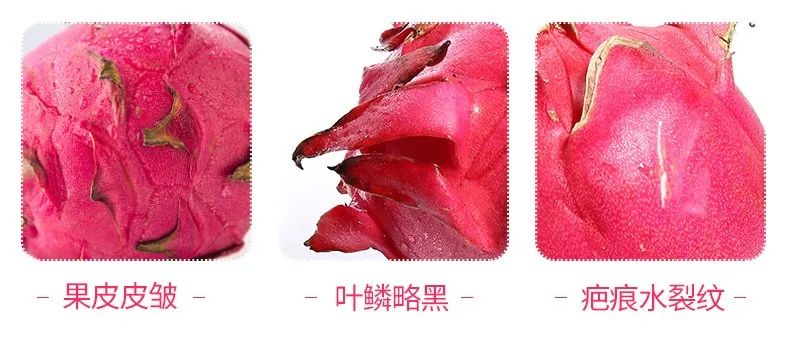 户外拓展,自助烧烤,露营,会议团体接待,团建, 户外拓展,自助烧烤,露营,会议团体接待,团建,