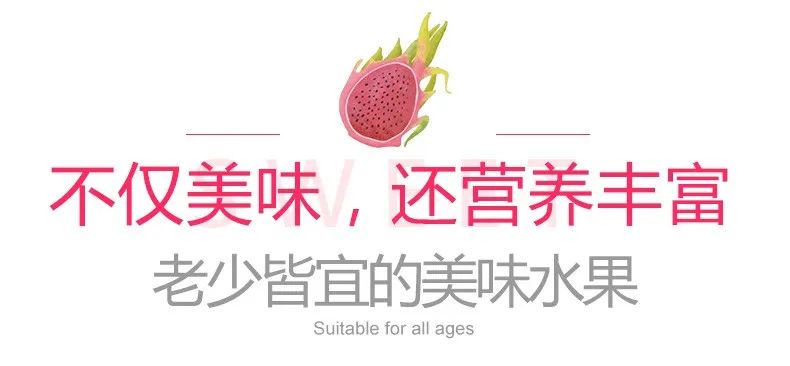 户外拓展,自助烧烤,露营,会议团体接待,团建, 户外拓展,自助烧烤,露营,会议团体接待,团建,