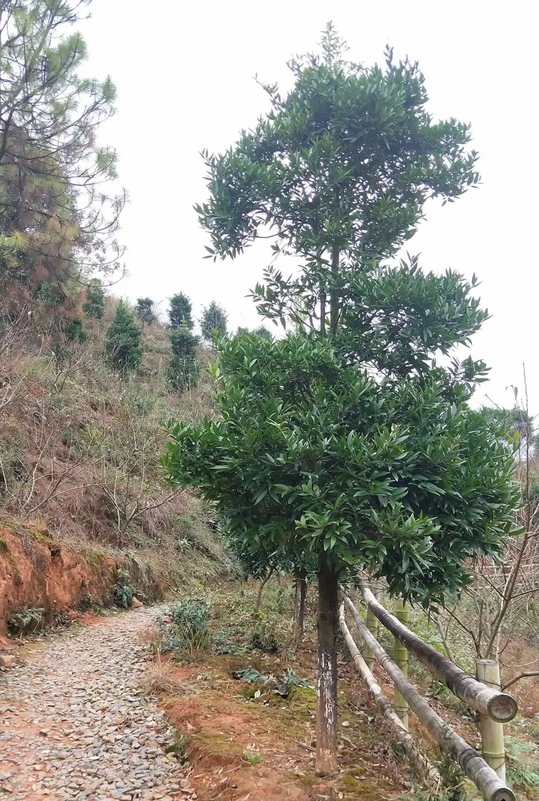户外拓展,自助烧烤,露营,会议团体接待，团建，