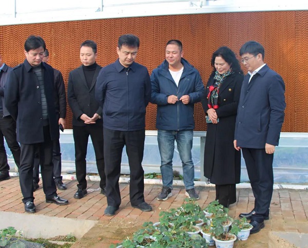 户外拓展,自助烧烤,露营,会议团体接待，团建，