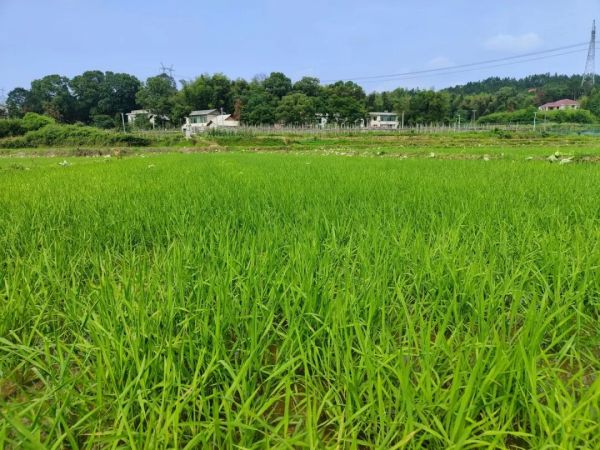 户外拓展,自助烧烤,露营,会议团体接待,团建, 户外拓展,自助烧烤,露营,会议团体接待,团建,