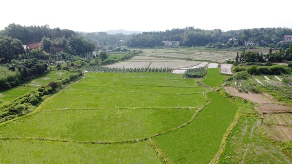 户外拓展,自助烧烤,露营,会议团体接待,团建, 户外拓展,自助烧烤,露营,会议团体接待,团建,